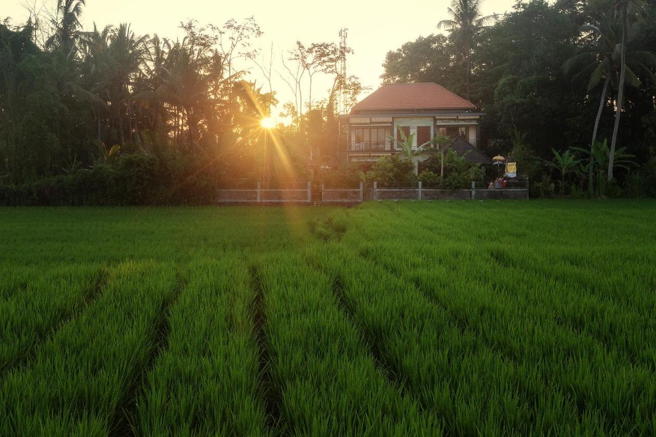 Demank Hidden Guesthouse Ubud  Exterior photo